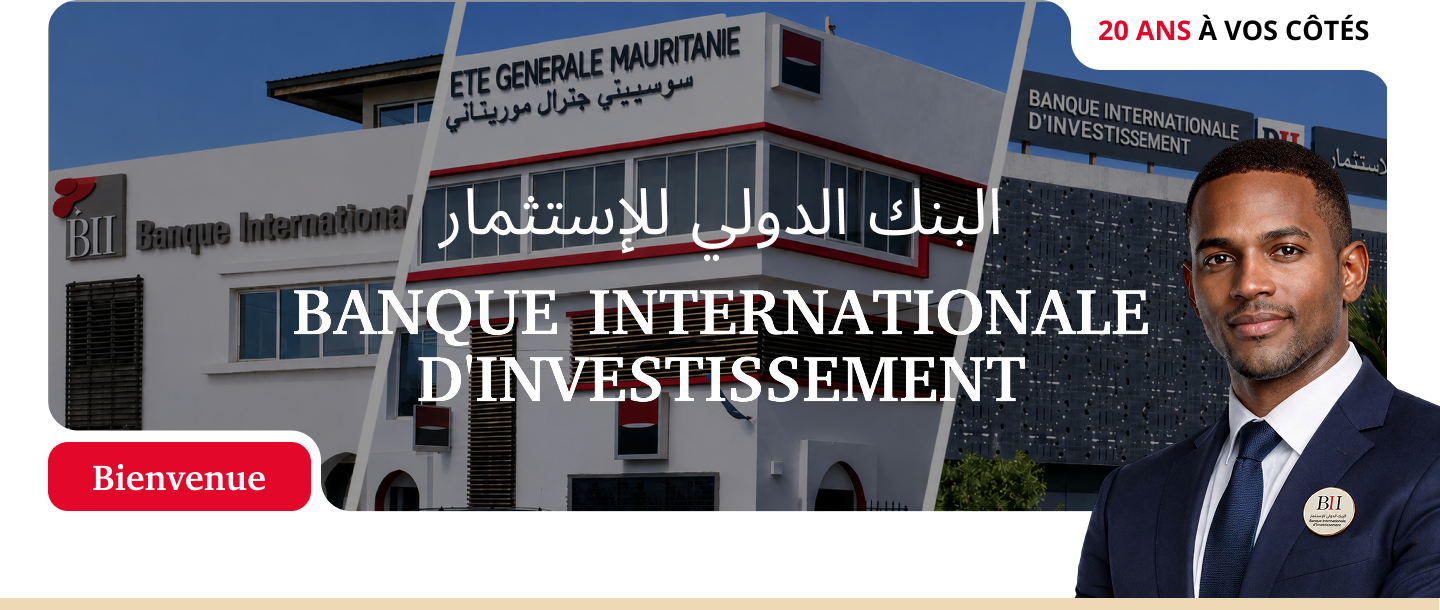banque internationale d'investissement