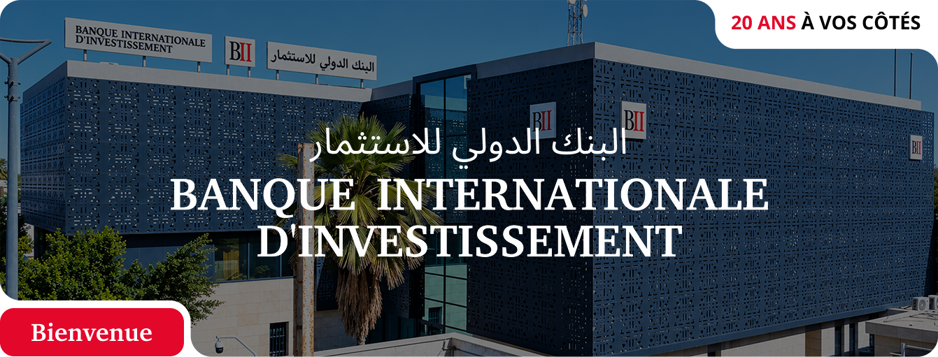 banque internationale d'investissement